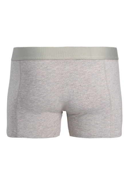 JACGABRIEL BAMBOO TRUNKS 3 PACK SN
